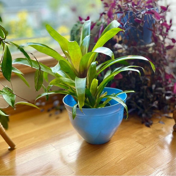 🫐 NWT Periwinkle Blue 10” Planter Flower Pot - Picture 2 of 10